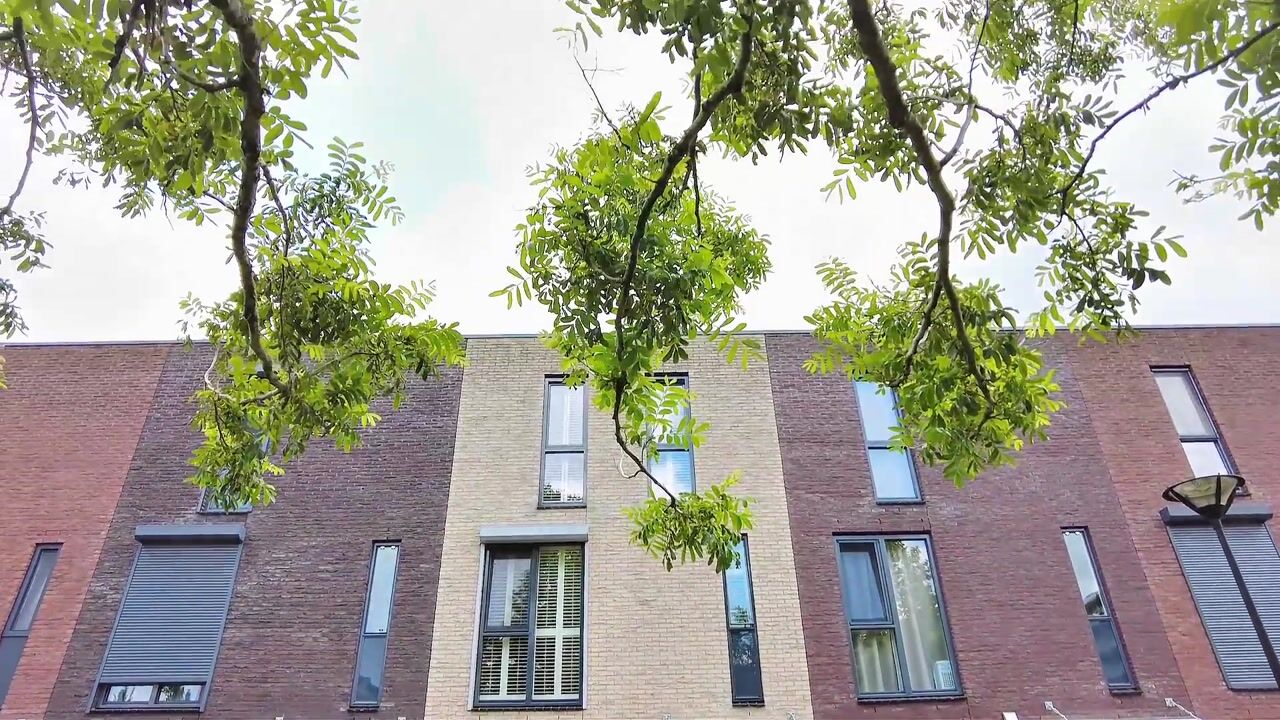 Video van Sem Dresdenplein 162