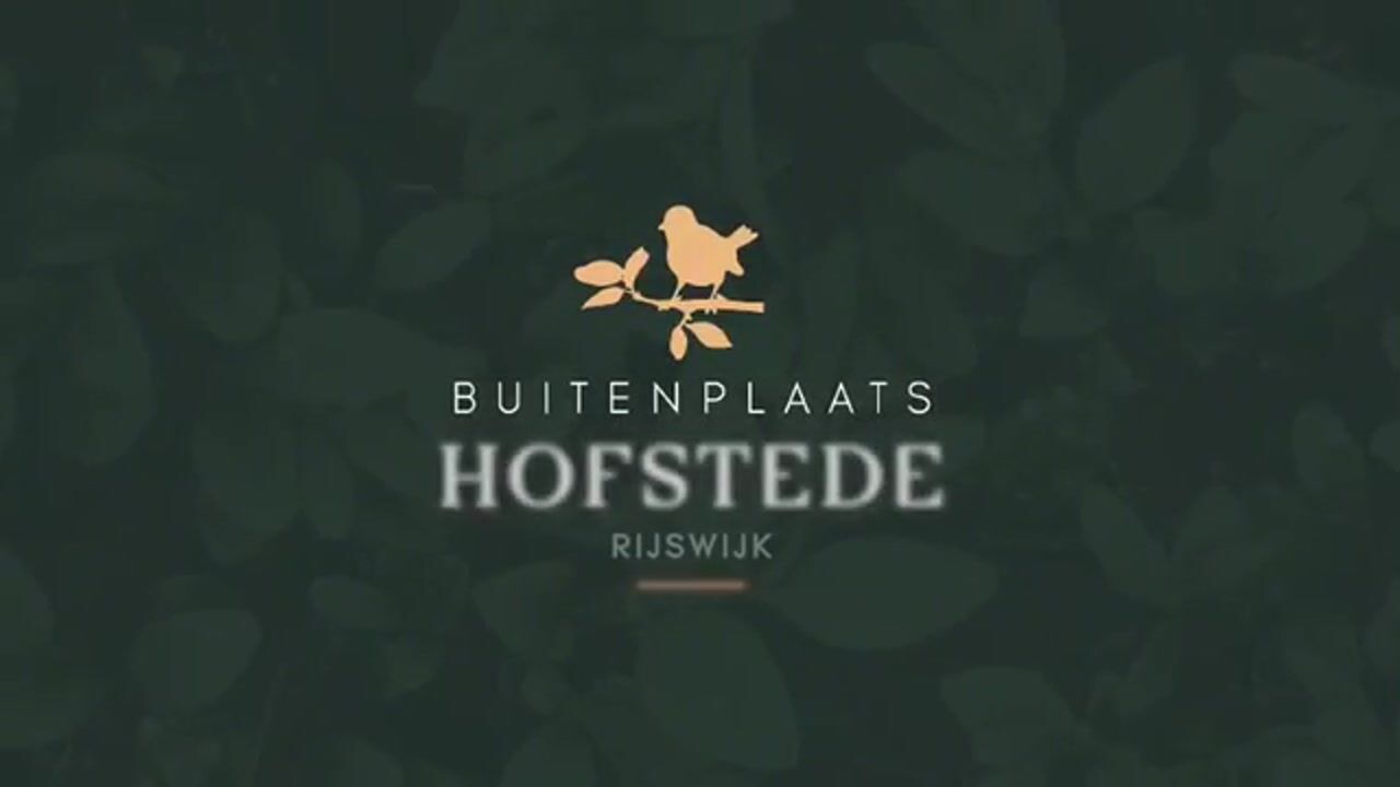 Video of Hofstedelaan 50