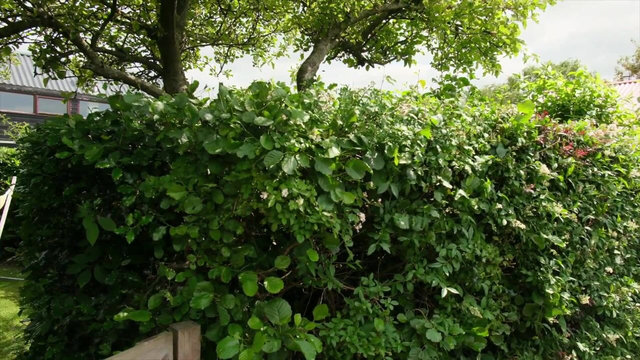 Video van Rekerlanden 17