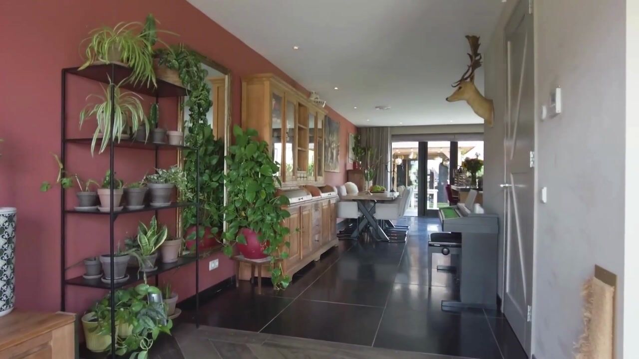 Video of Meerkoetstraat 24