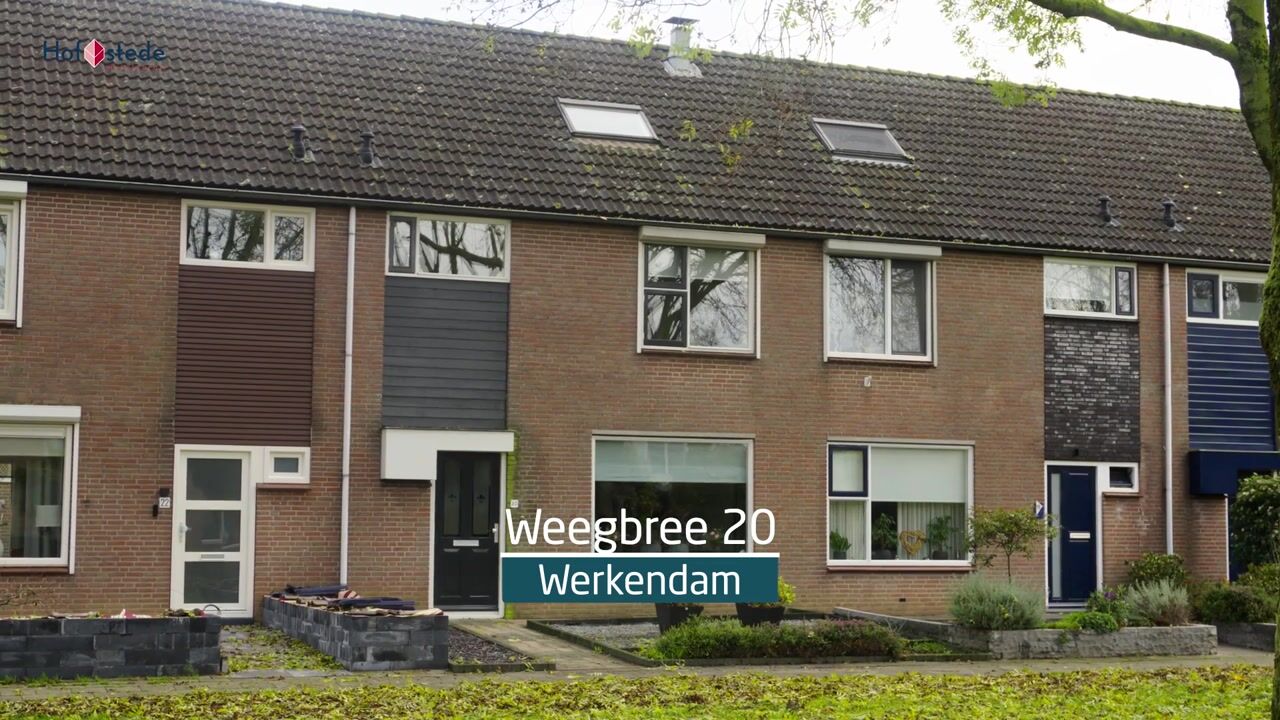 Video of Weegbree 20