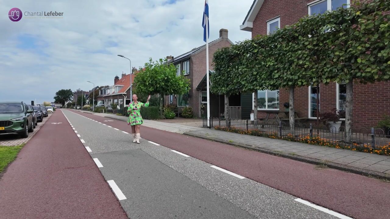 Video van Lisserdijk 375