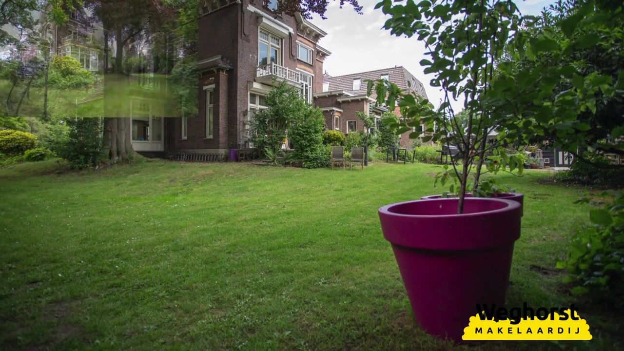 Video van Wierdensestraat 118