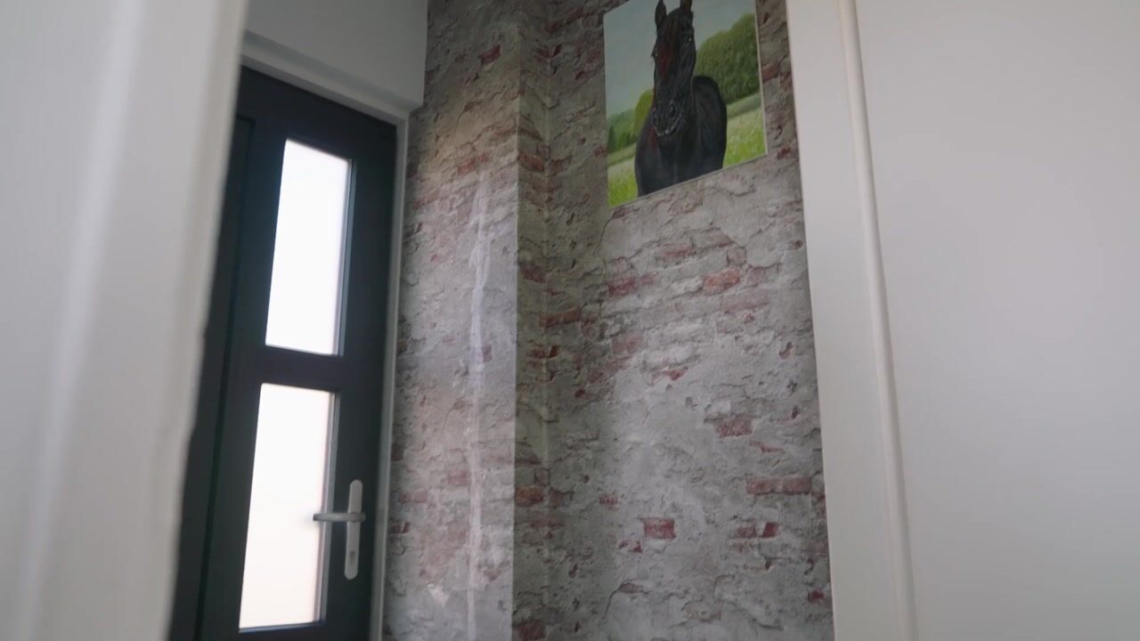 Video van Steenakker 13