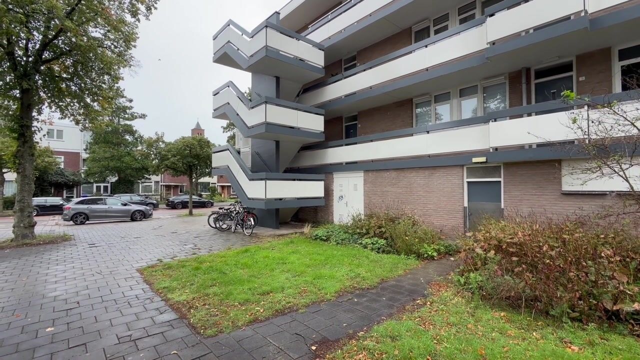 Video van Bolestein 738