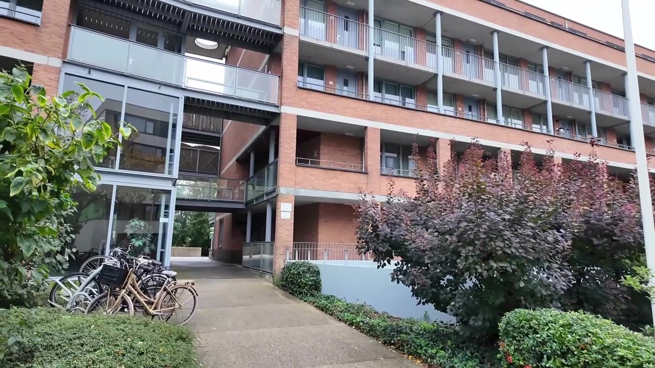 Video van Bachstraat 125