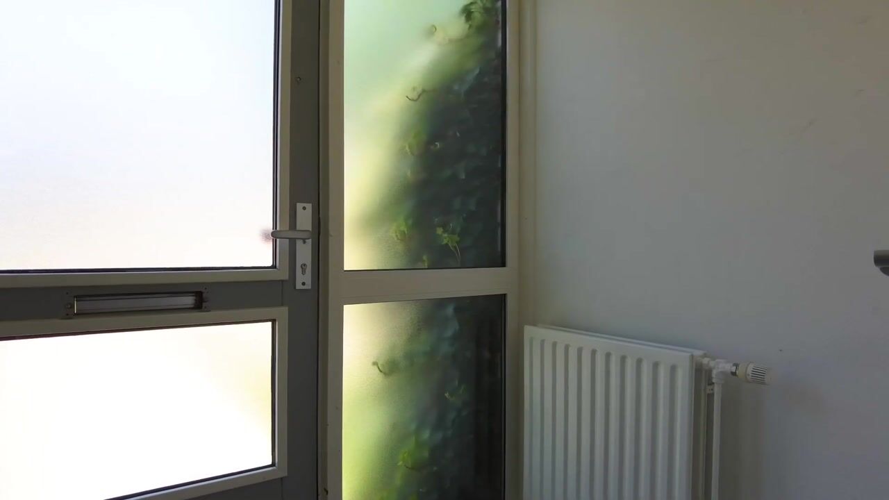 Video van De Clossei 49