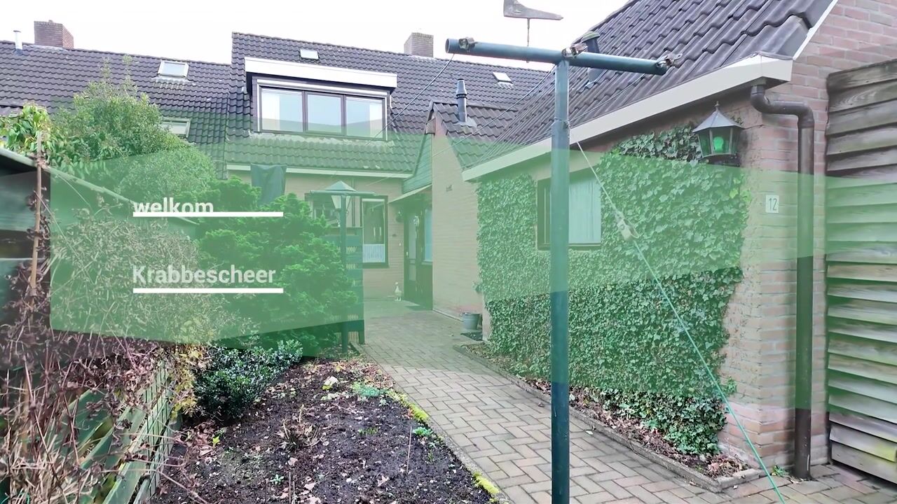 Video van Krabbescheer 12