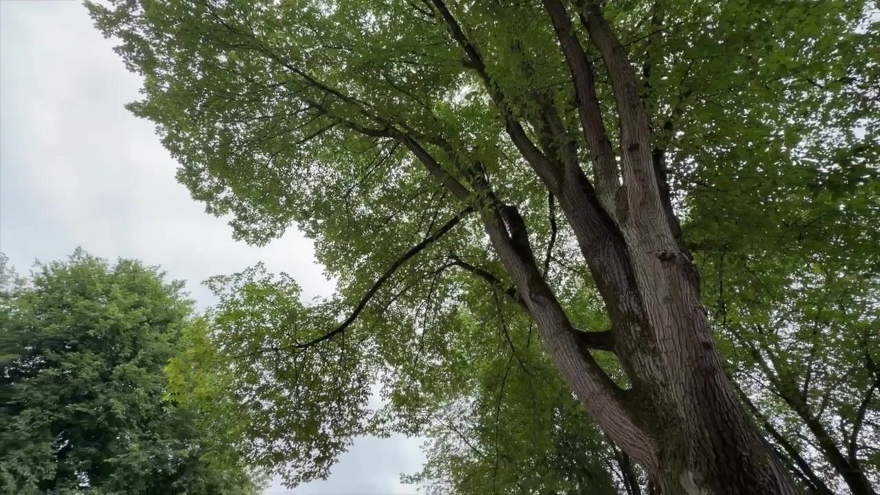 Video van Zuid-Hollandstraat 140-1