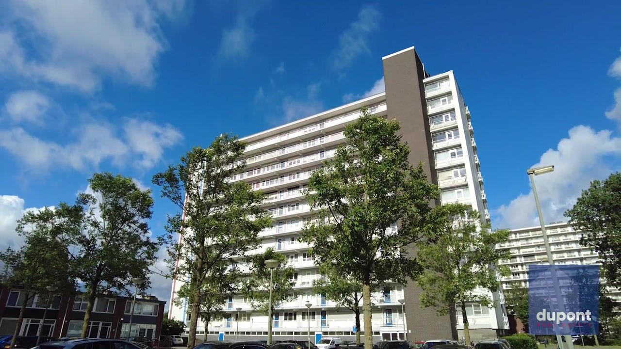 Video van Louis Raemaekersstraat 299