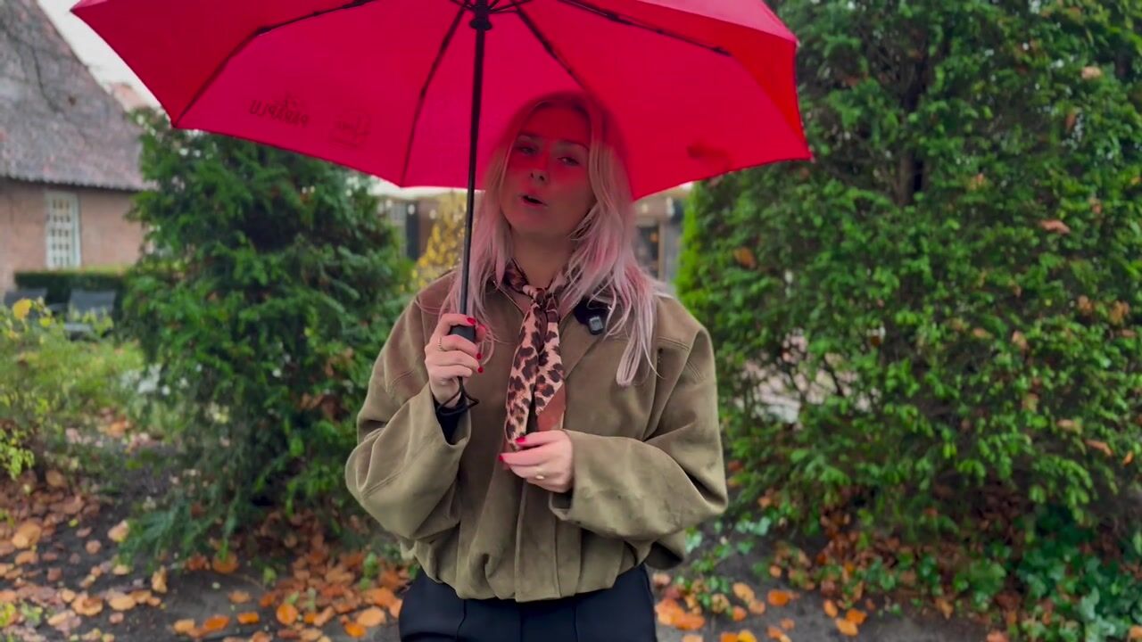 Video van Möllenbergstraat 1