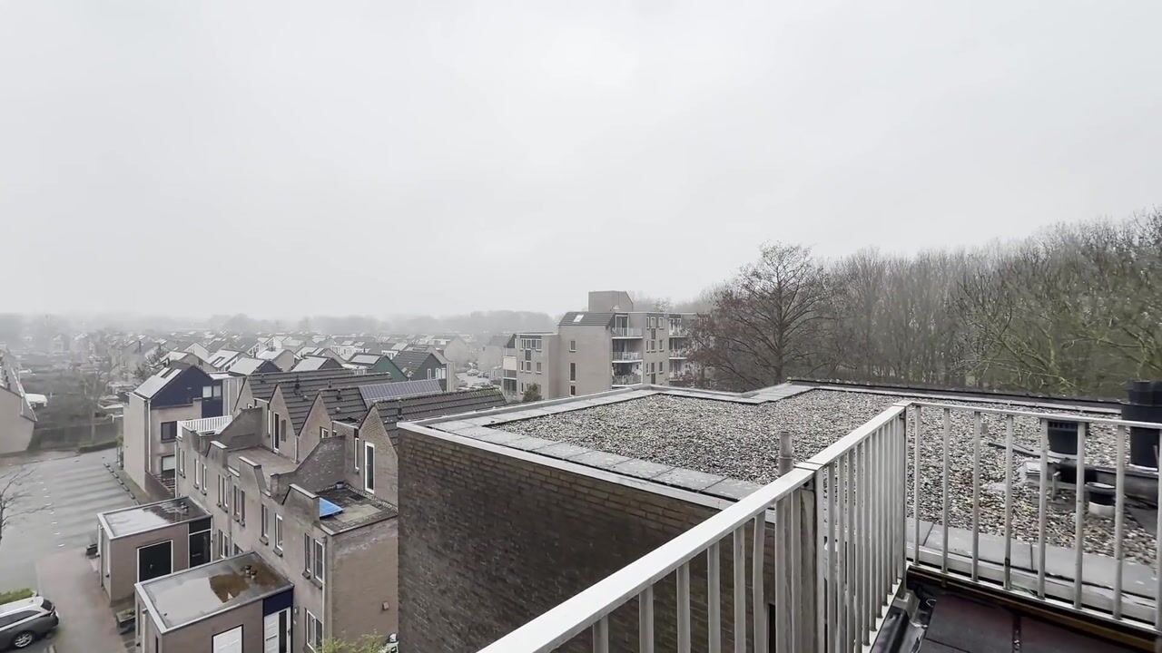 Video van Koraalzwam 187