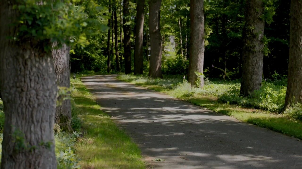 Video of Elspeterweg 10