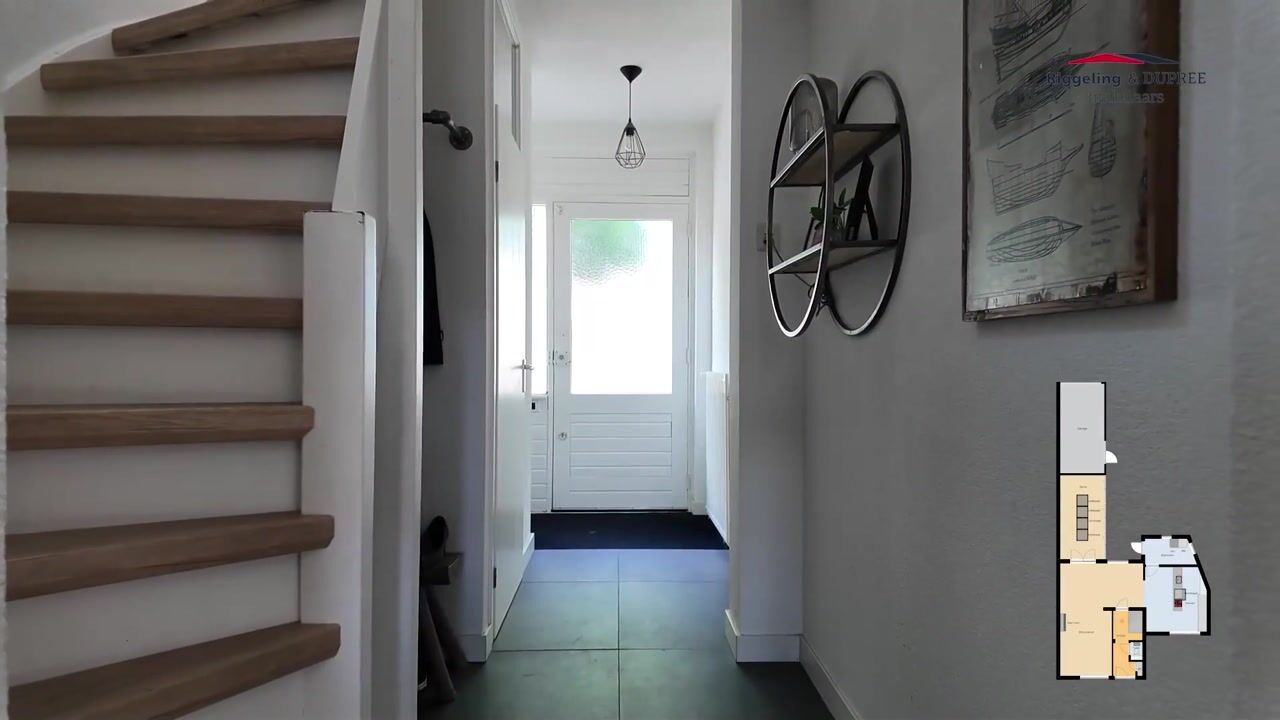 Video of Goudplevier 1
