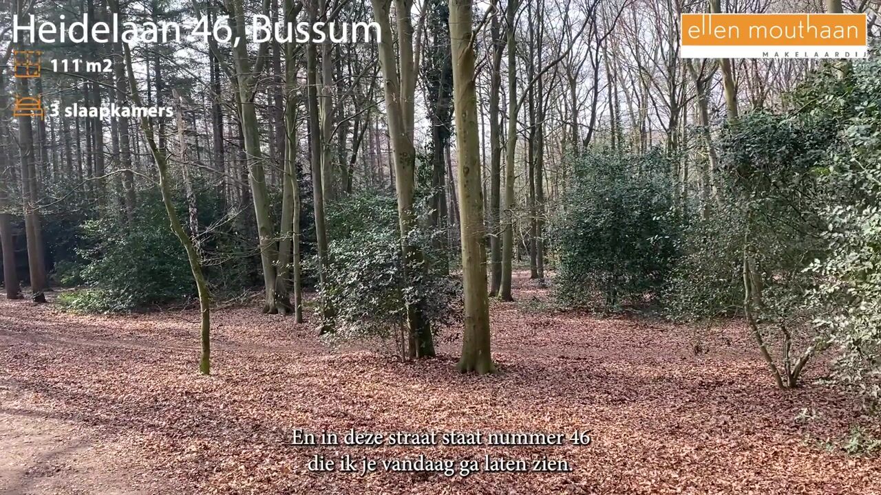 Video van Heidelaan 46