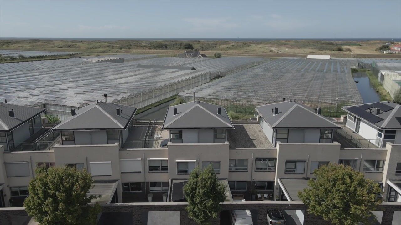 Video van Golfslag 53