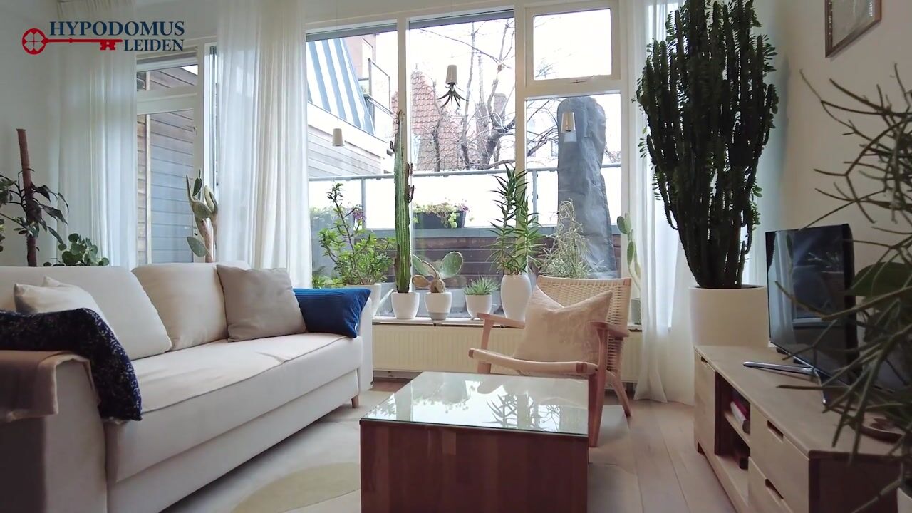 Video van Koolgracht 11