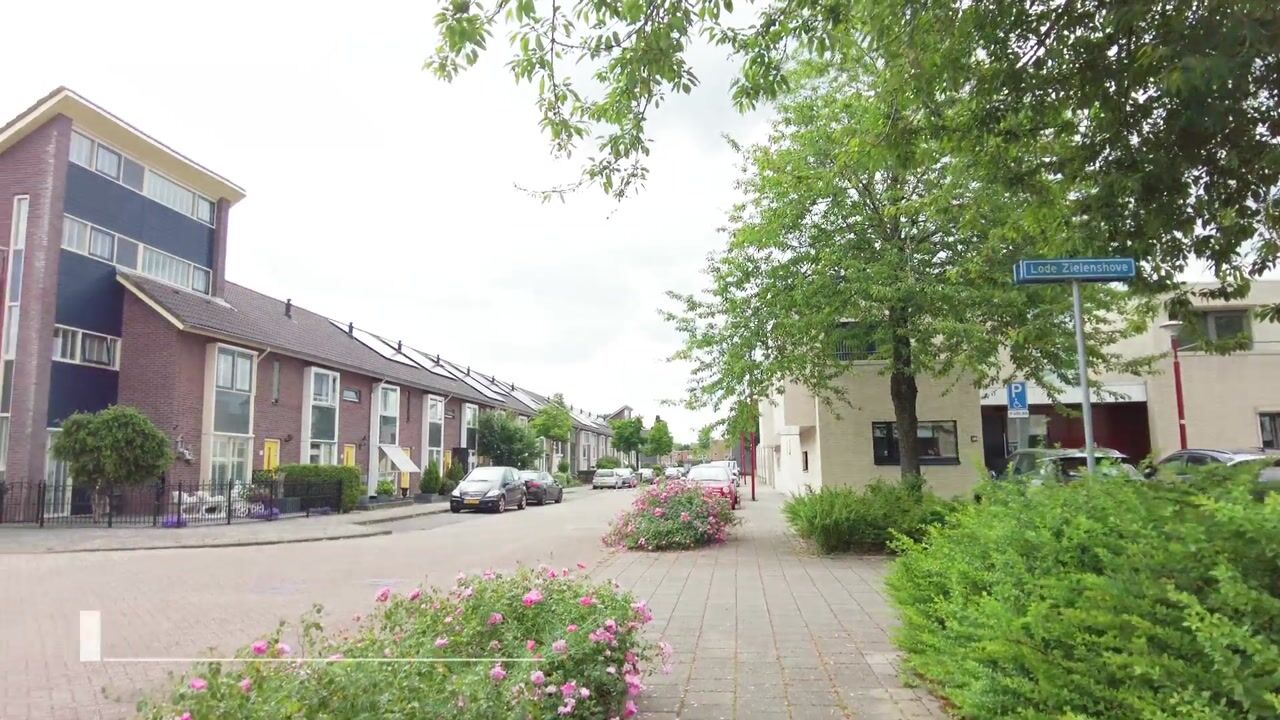 Video van Ernest Claeshove 38