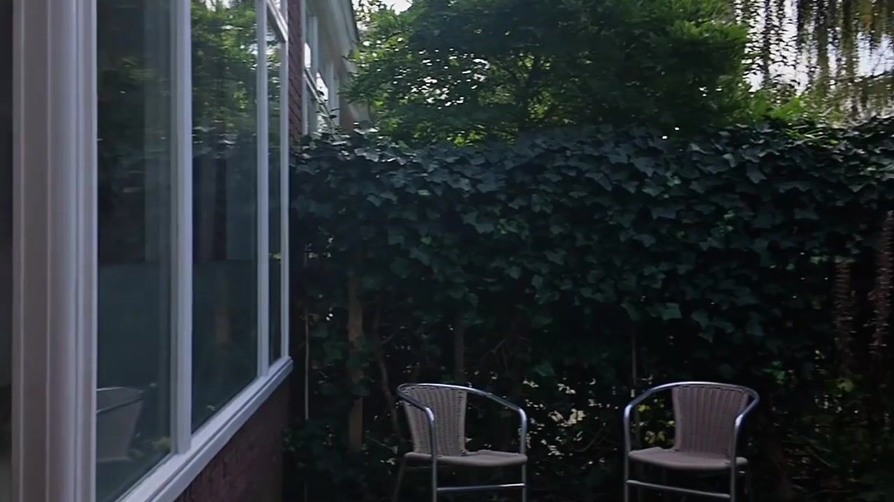 Video van Floris van Alkemadelaan 8