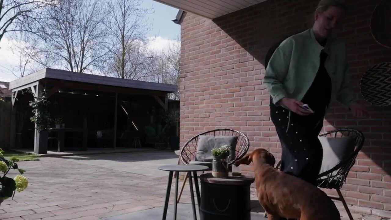 Video of Zilverschoon 30