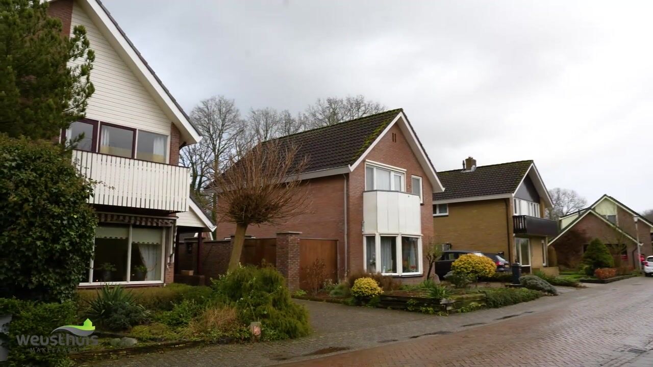 Video van de Bongerd 5