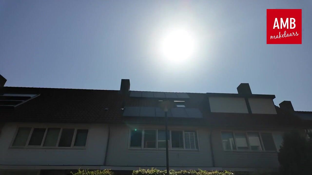 Video van IJsvogel 48