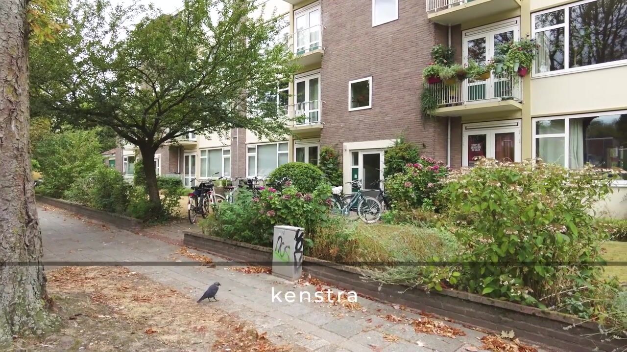 Video of Molukkenstraat 168