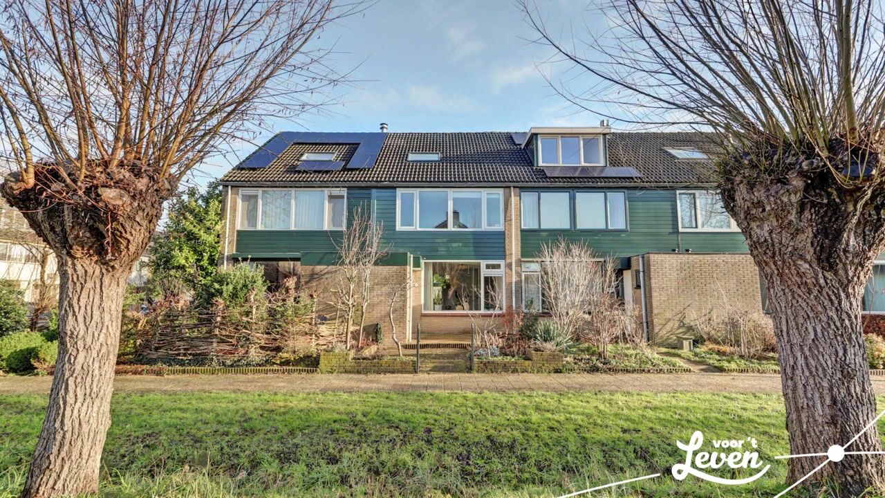 Video of Valeriaan 41