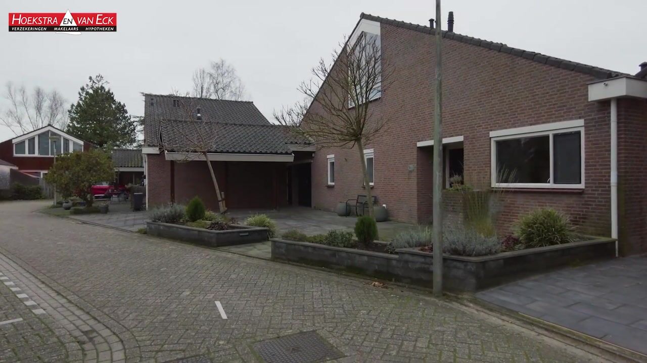 Video van Moerasvaren 31