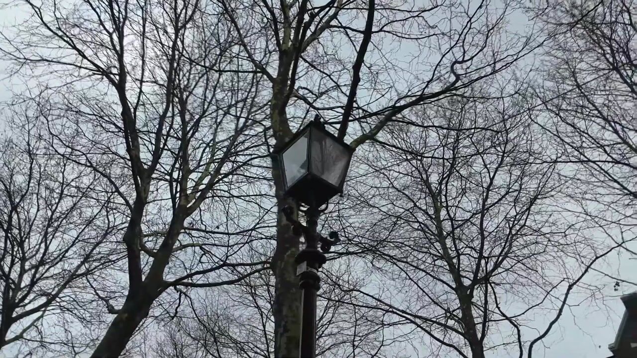 Video van Torenlaan 10