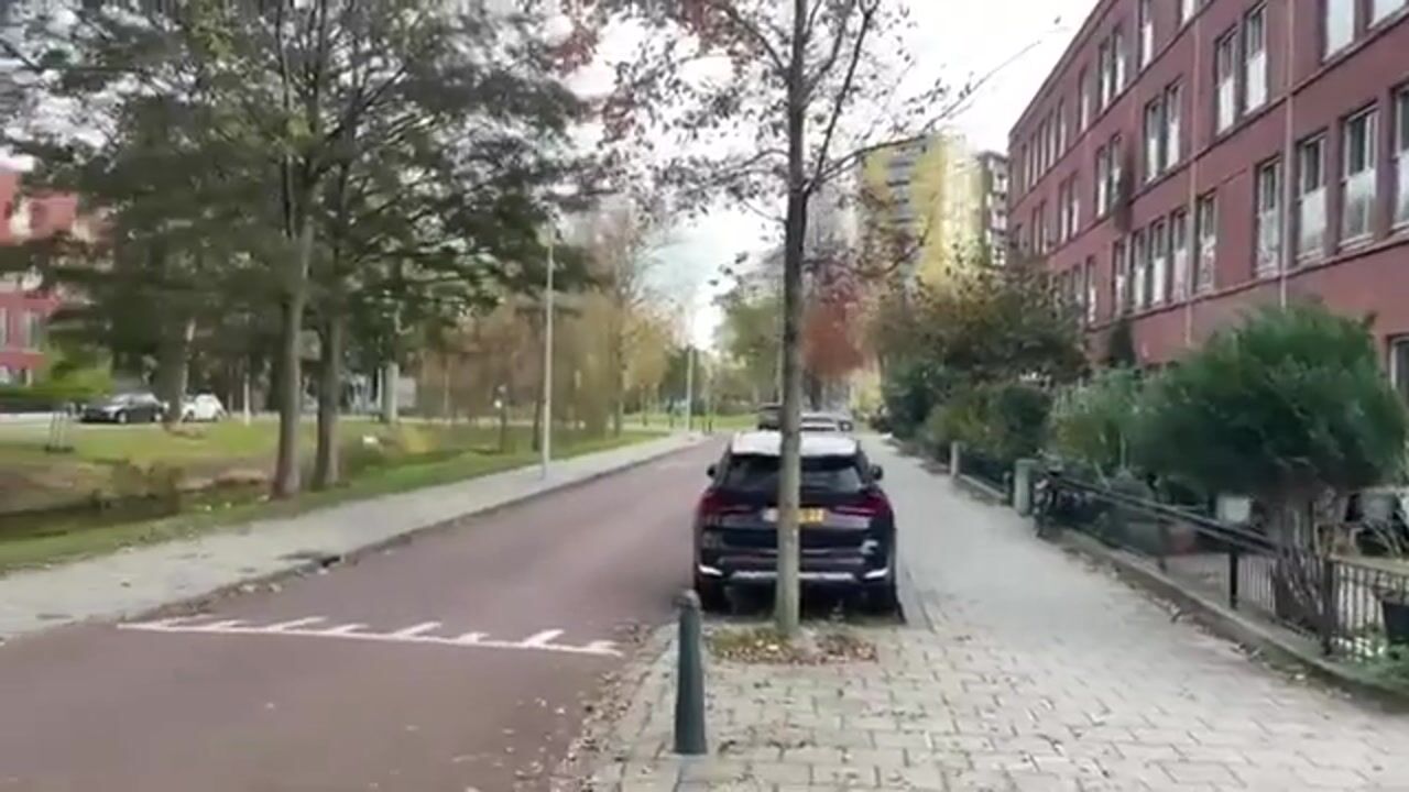 Video van Valthestraat 2