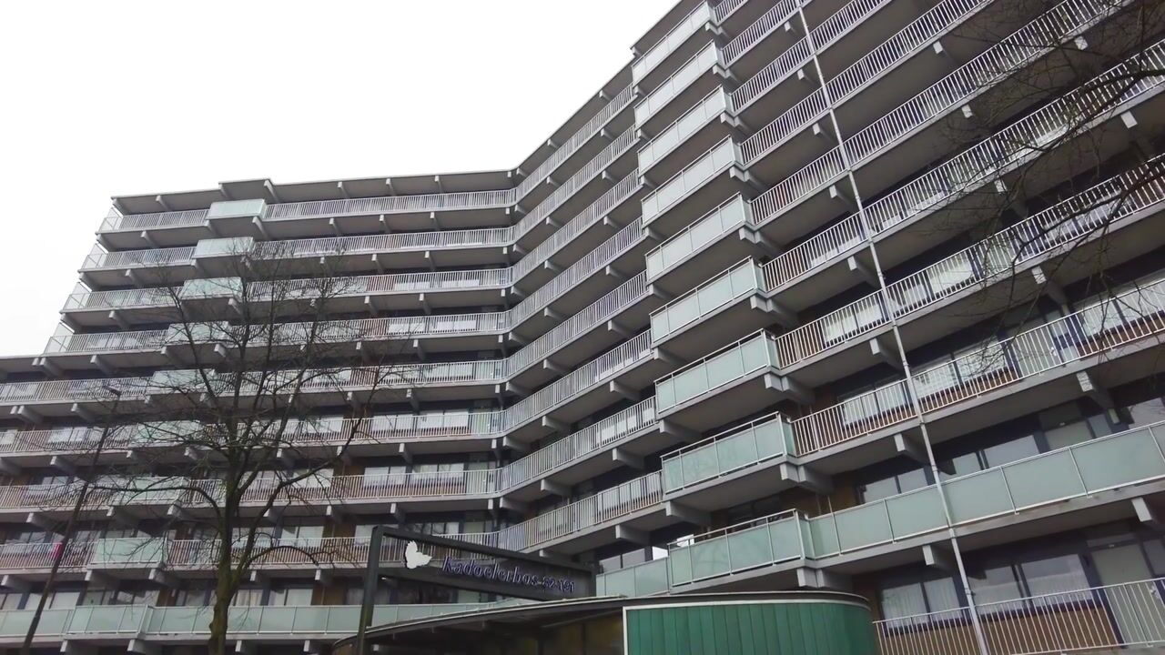 Video of Kadoelerbos 104