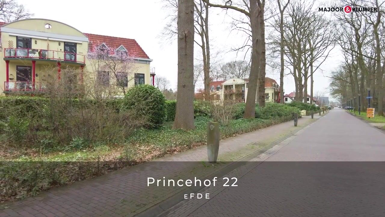 Video of Princehof 22
