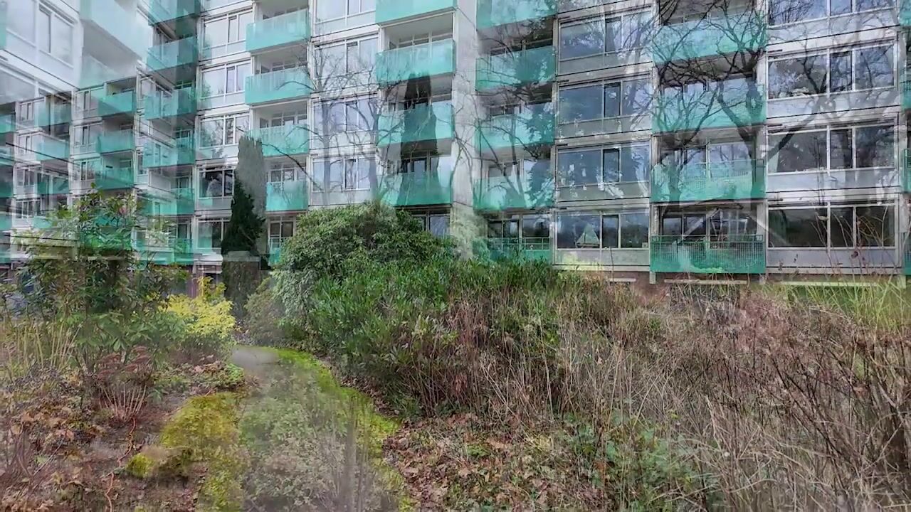 Video van Hoofdweg 302