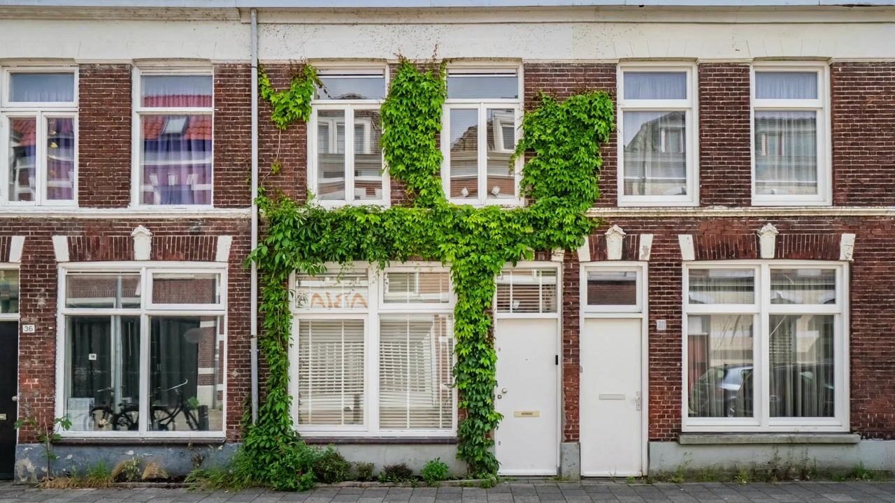 Video van Borneostraat 38
