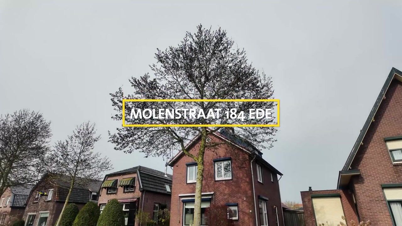 Video van Molenstraat 184