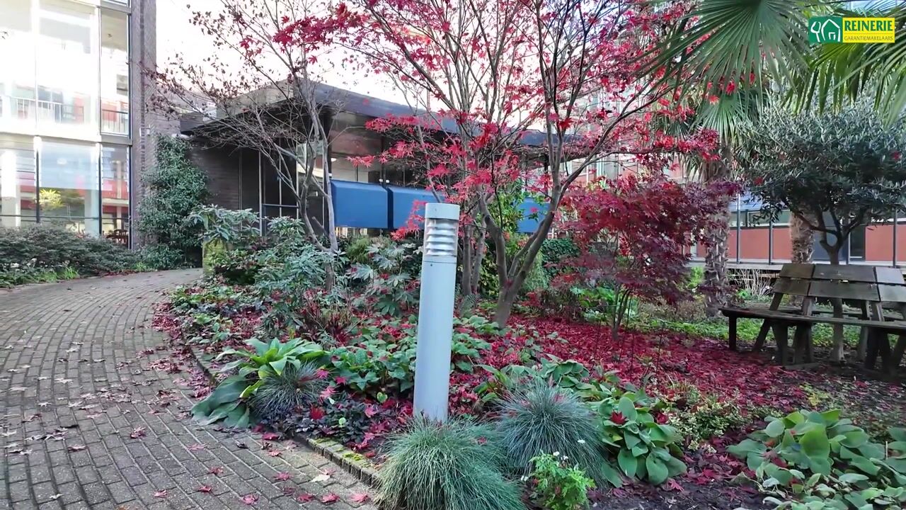 Video van Parelgras 120