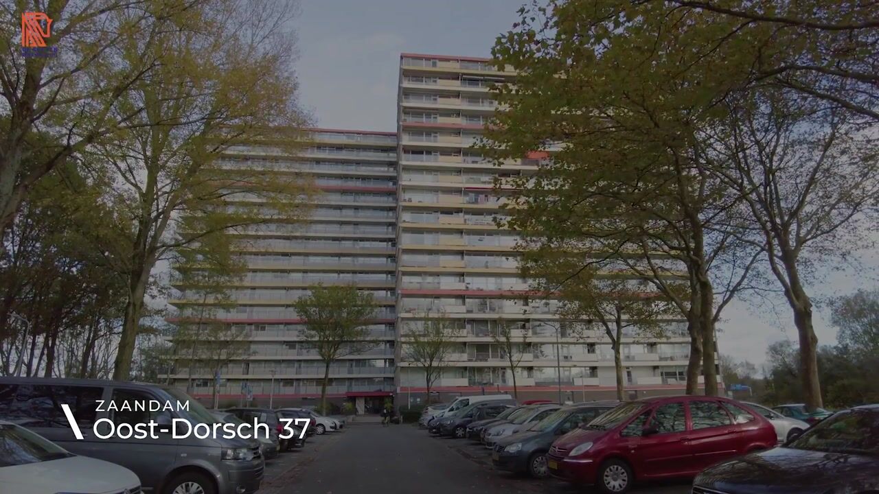Video of Oost-Dorsch 37