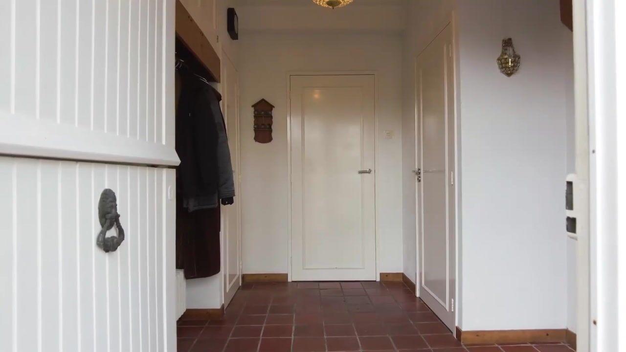Video van Blommert 11