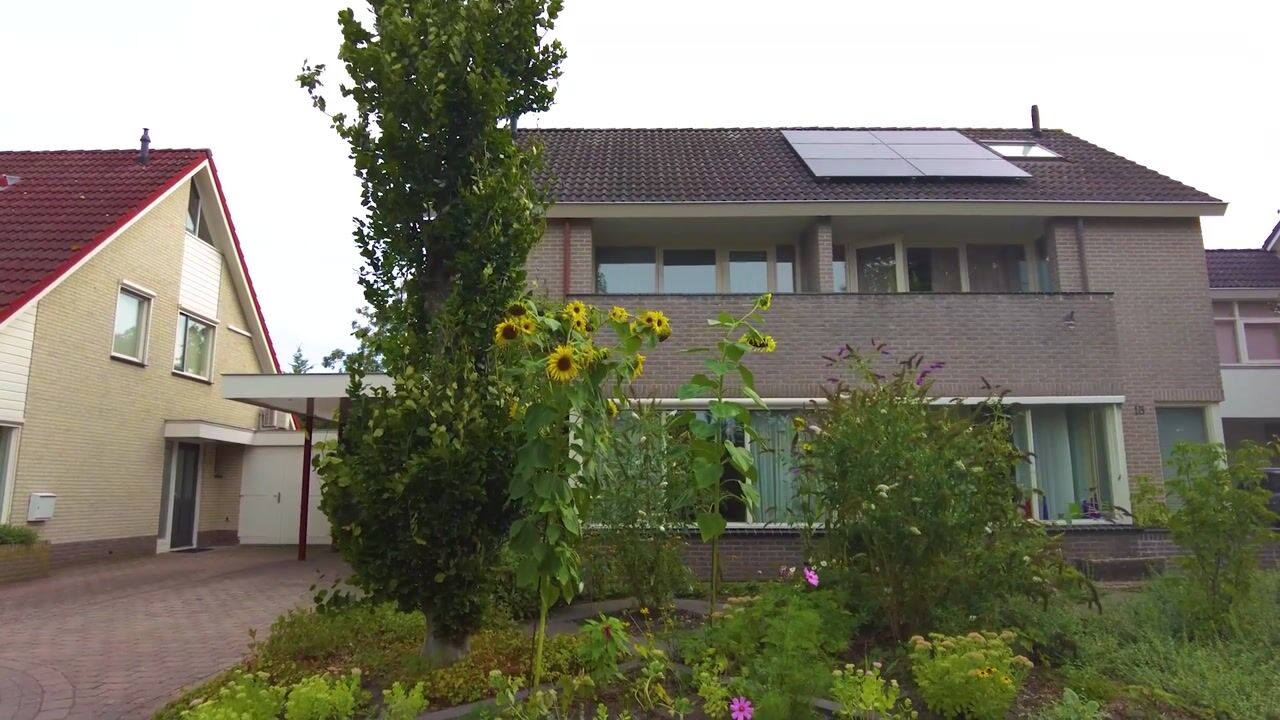 Video van Hazelnoot 15