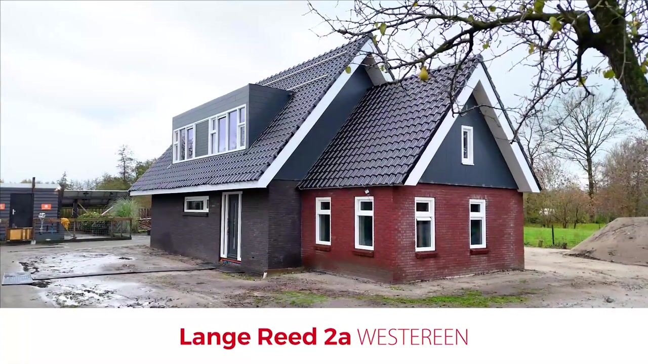 Video of Lange Reed 2-A