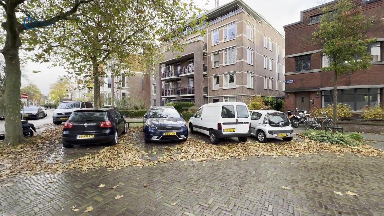 Bekijk video van Steijnstraat 1