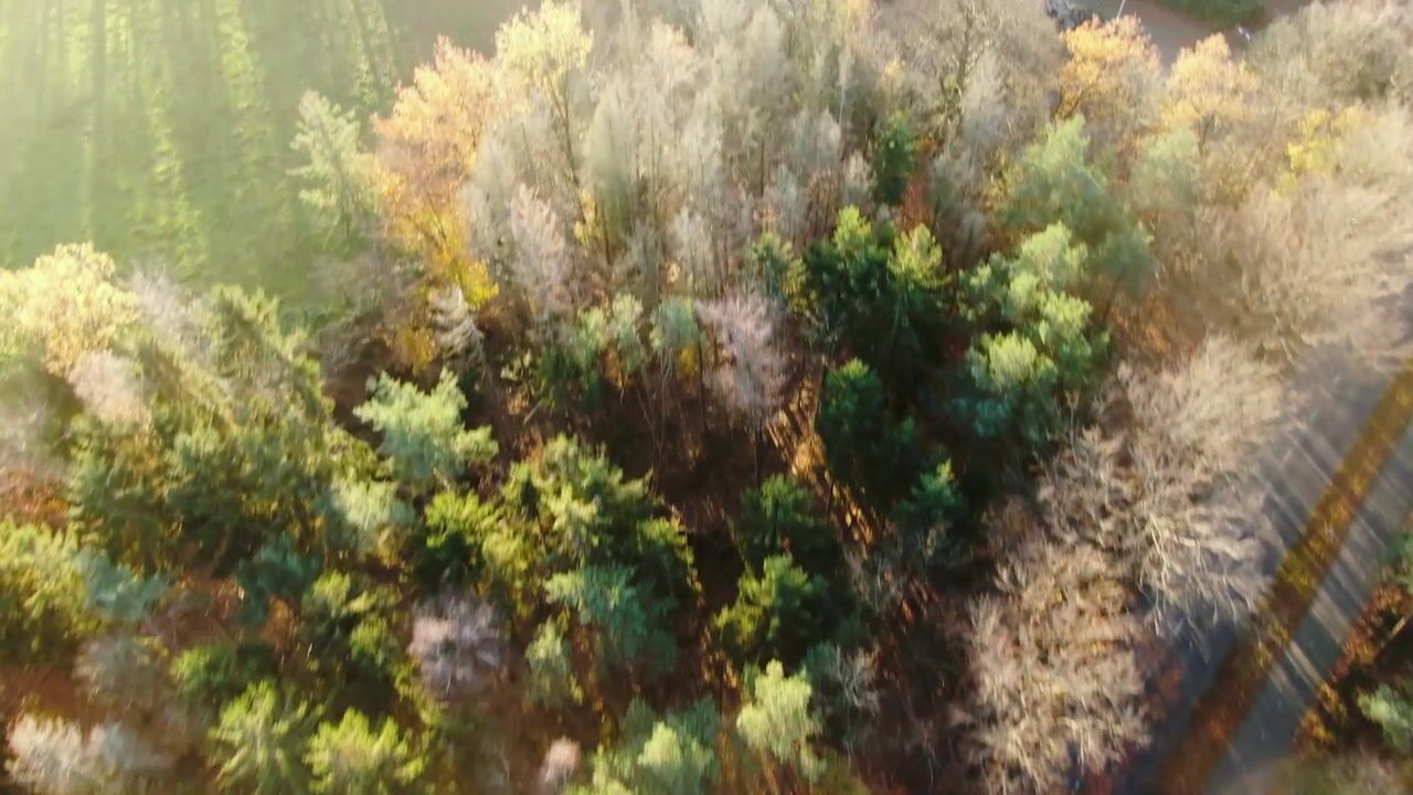 Bekijk video van Landgoed de Klokkenberg - Klasse Paviljoens Vrouwenvleugel