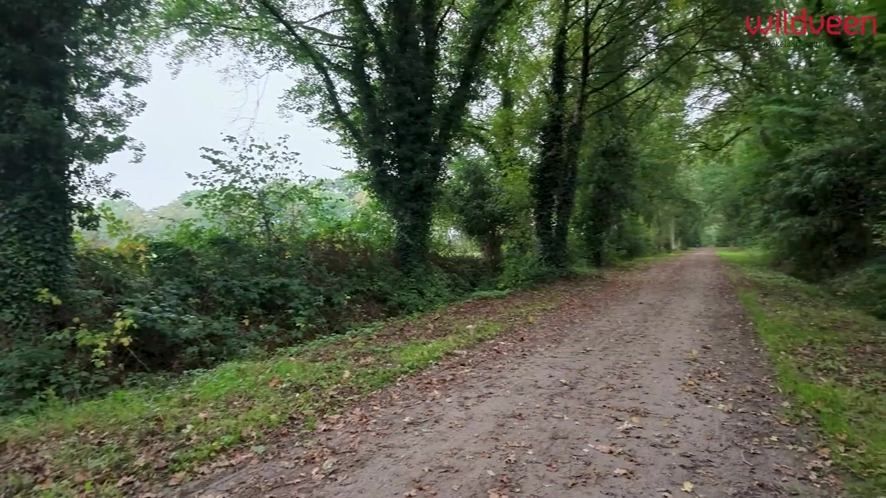 Video van Groenkampen 9