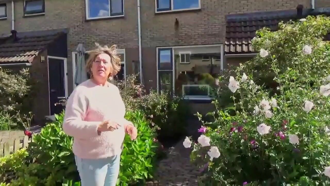 Video of Rode Klaver 81