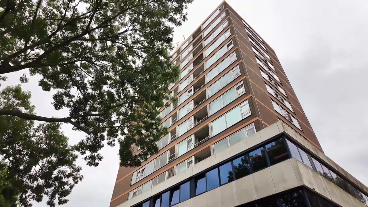 Video van Maassluisstraat 562