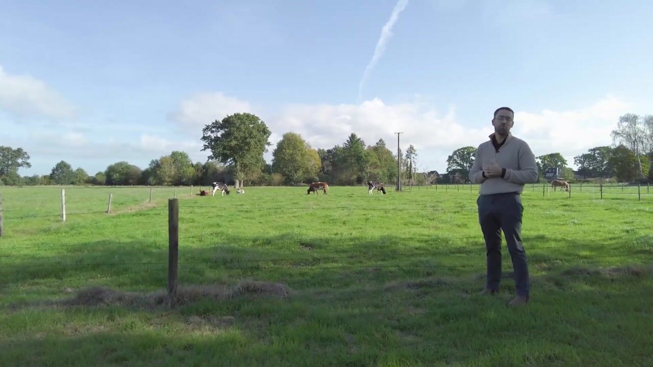 Video van Loenenseweg 150