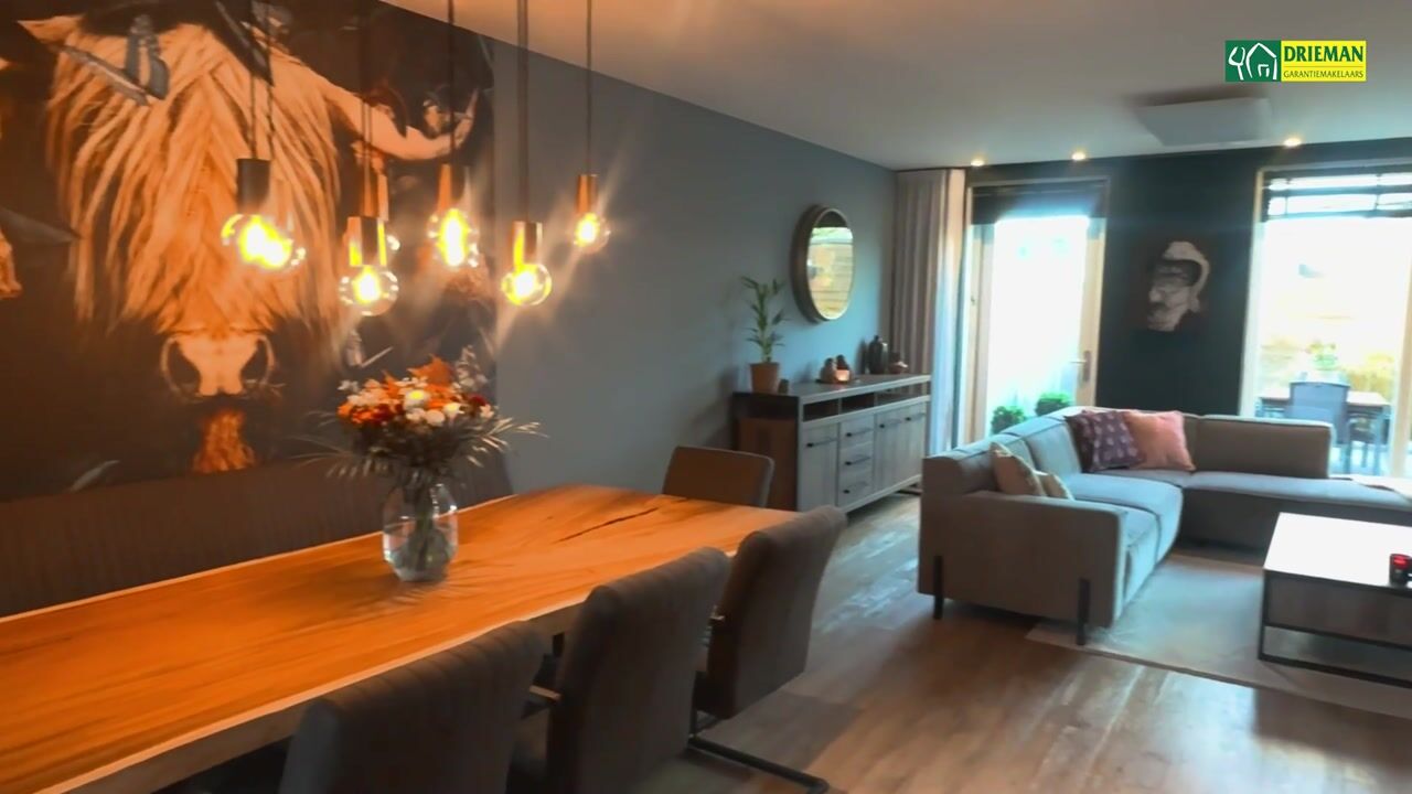 Video of Penningkruid 86