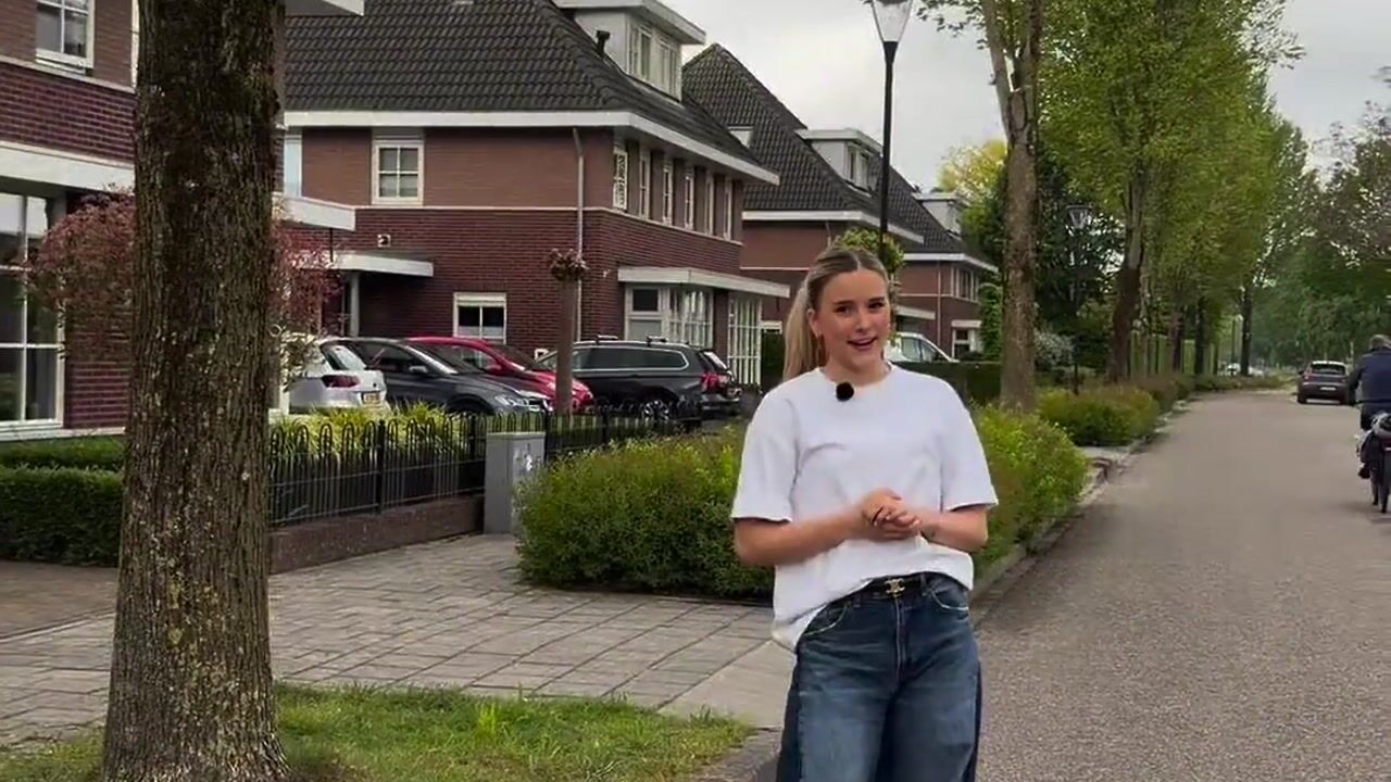 Video of Parksingel 129