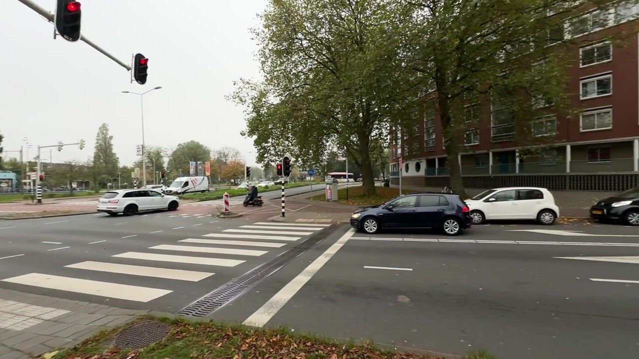 View video of Troelstrakade 873